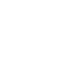 Control System